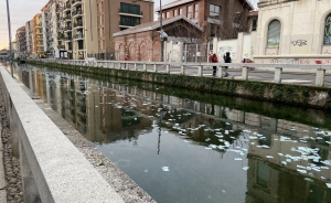 Milano: un fiume di banconote sui Navigli